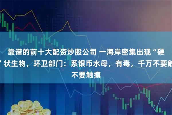 靠谱的前十大配资炒股公司 一海岸密集出现“硬币”状生物，环卫部门：系银币水母，有毒，千万不要触摸
