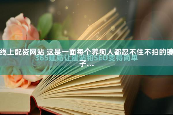 线上配资网站 这是一面每个养狗人都忍不住不拍的镜子...